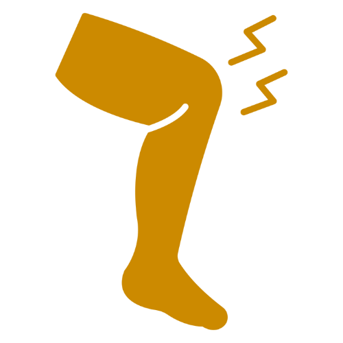 knee icon