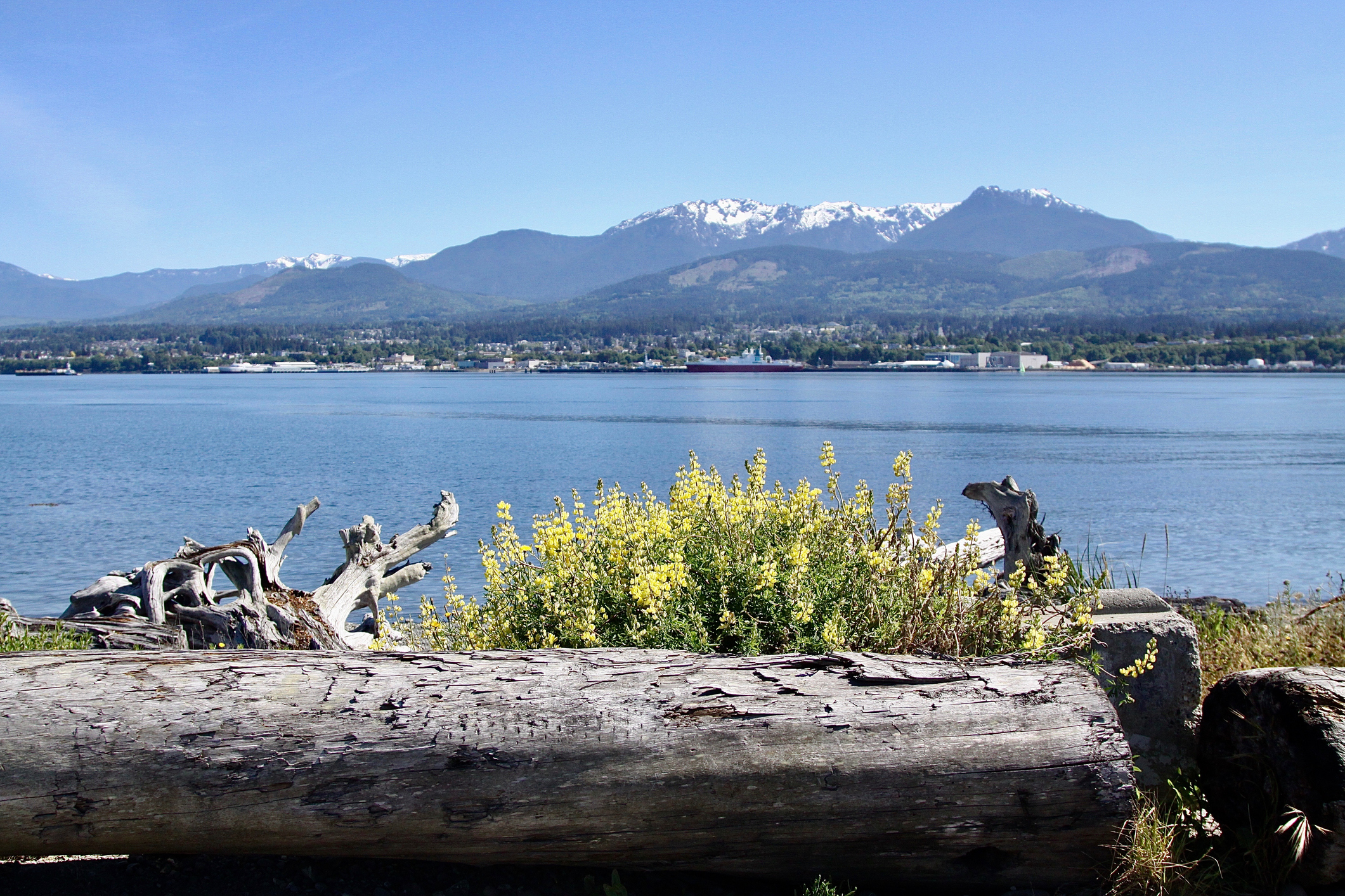 Cascade Mountains