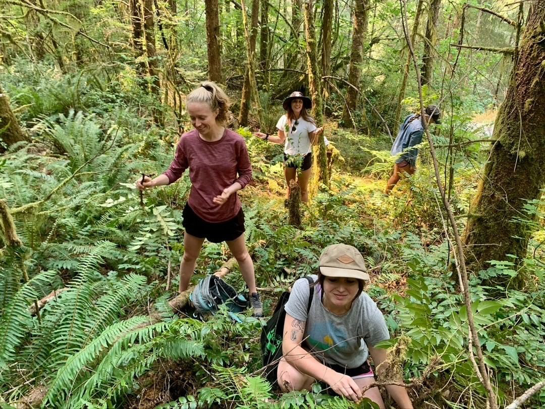 students in forest