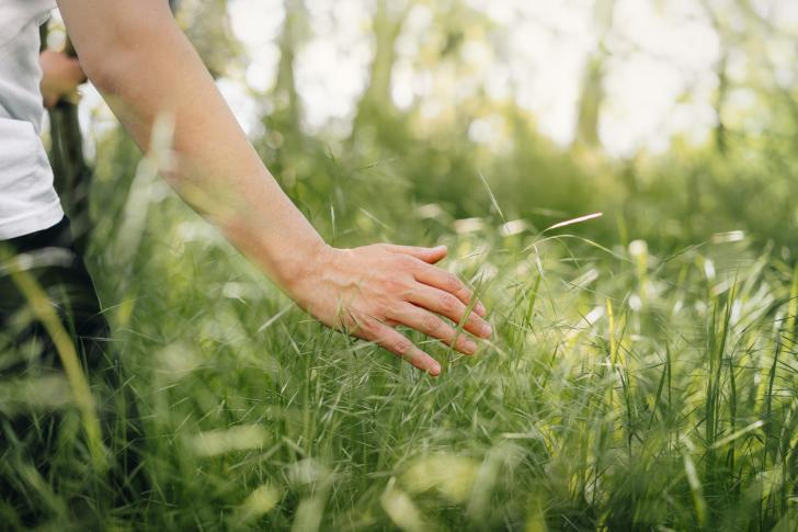 soft wellness
