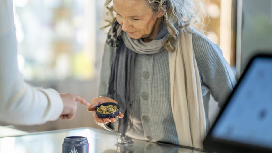 person inspecting cannabis