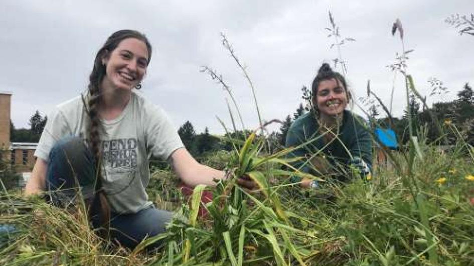 sacred seeds trail, ethnobotanical garden trail