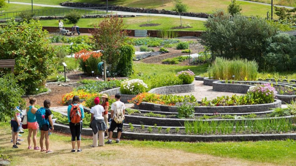 Bastyr University Gardens in Spring